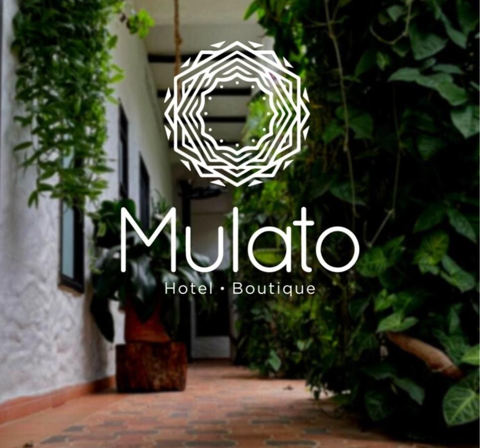 Hotel Mulato El Colegio  Dış mekan fotoğraf